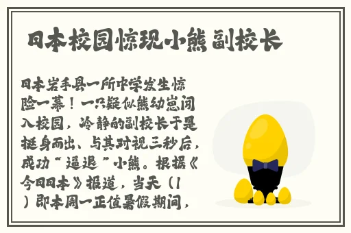 魅力安卓最新版本